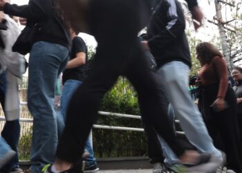 Fies 2026: pré-selecionados devem validar dados da inscrição até hoje