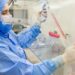 Estudo usa células-tronco contra complicações do transplante de medula
