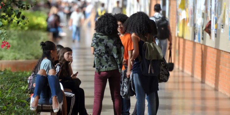 MDIC terá cursos de comércio exterior para mulheres e pessoas negras